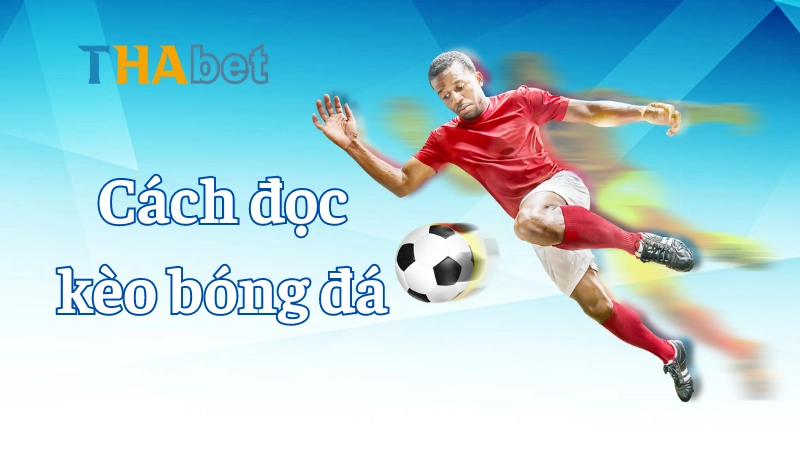 Các Loại Kèo Bóng Đá