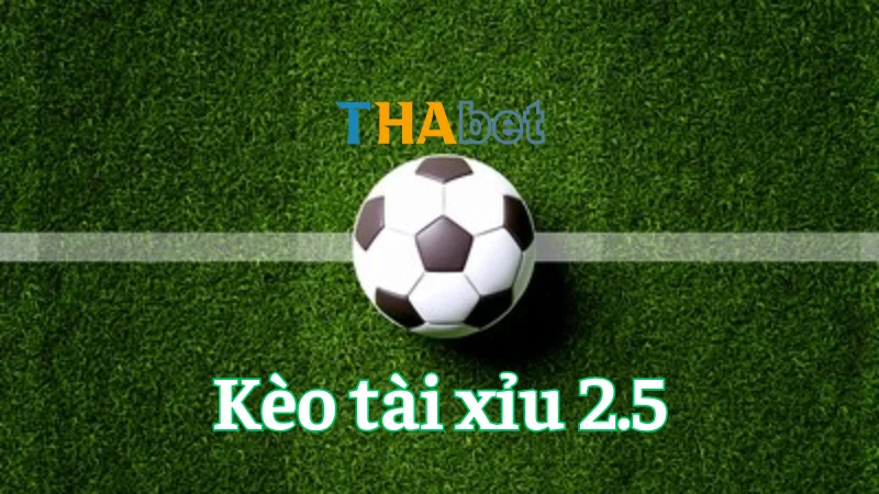 Thực hiện cược kèo tài xỉu 2.5 thông minh